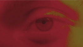 [website coming soon]