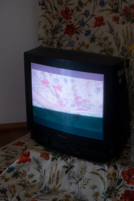 [website coming soon]