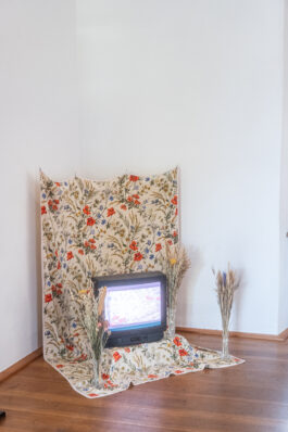 [website coming soon]