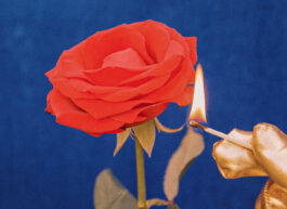 [website coming soon]