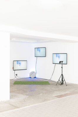 [website coming soon]