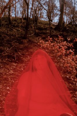 [website coming soon]