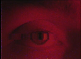 [website coming soon]